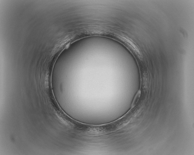 X0000115390489200911171459