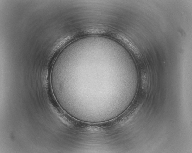 X0000115390490200911171459