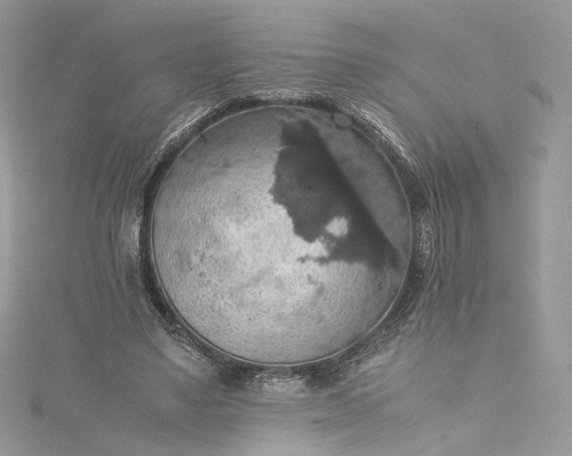 X0000115390491200911171459