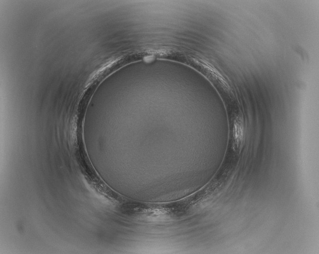 X0000115390492200911171459