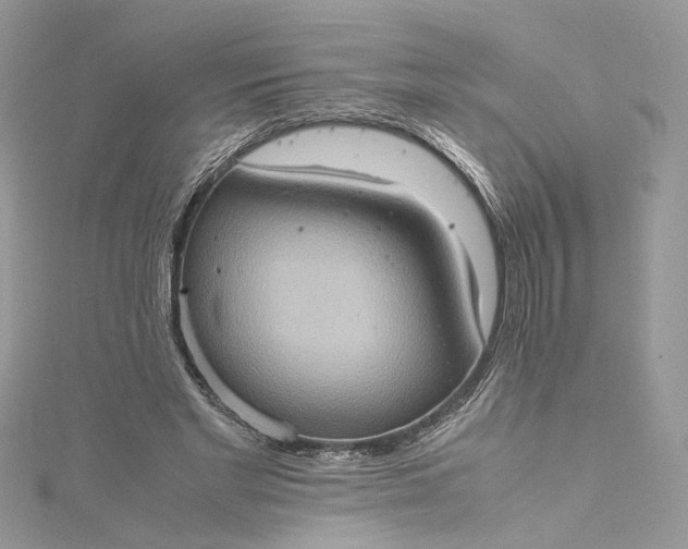 X0000115390493200911171459