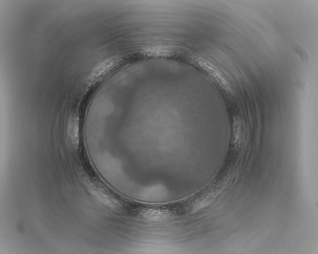 X0000115390494200911171459