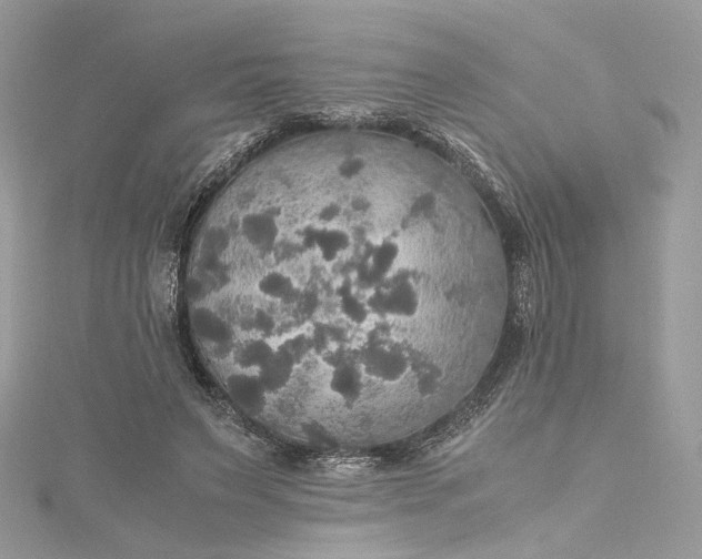 X0000115390495200911171459