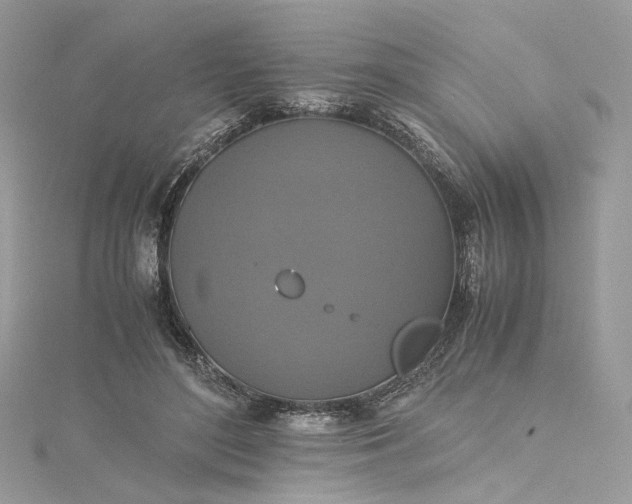 X0000115390500200911171459