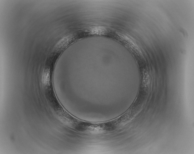 X0000115390502200911171459