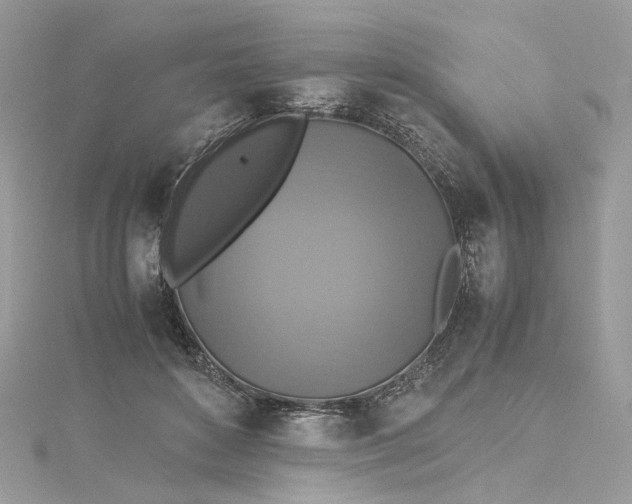 X0000115390504200911171459