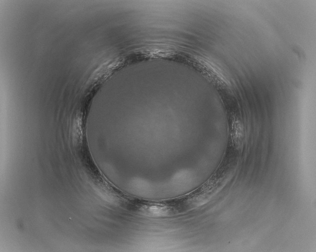 X0000115390506200911171459