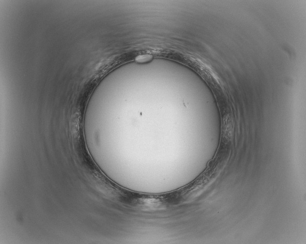 X0000115390509200911171459