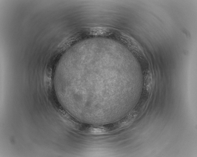 X0000115390510200911171459