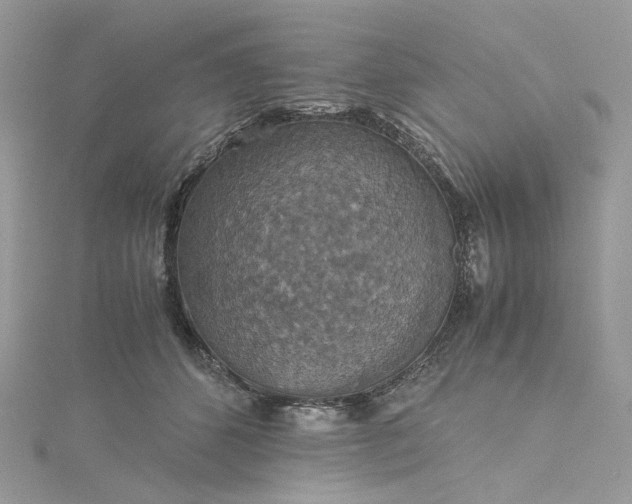 X0000115390512200911171459