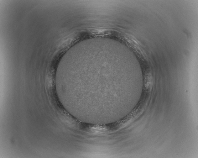 X0000115390515200911171459