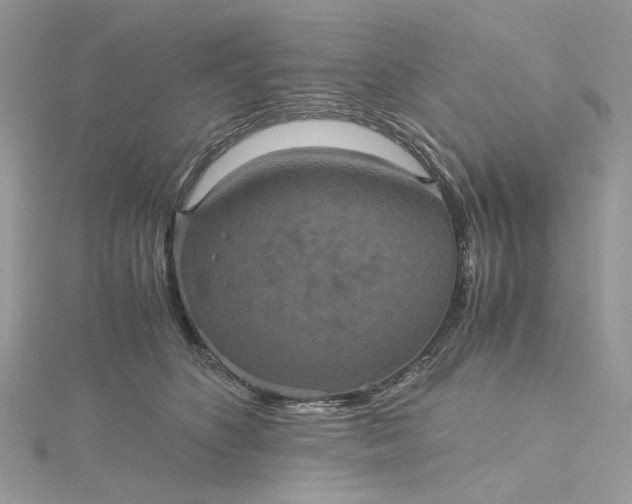 X0000115390516200911171459