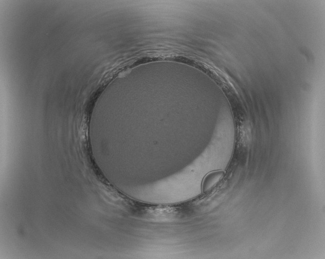 X0000115390517200911171459