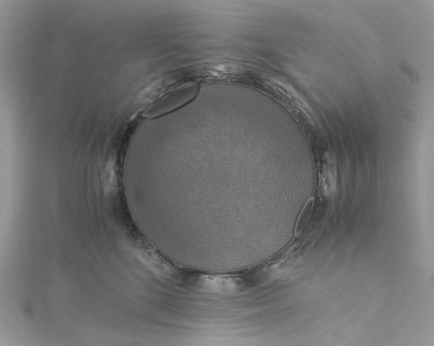 X0000115390520200911171459