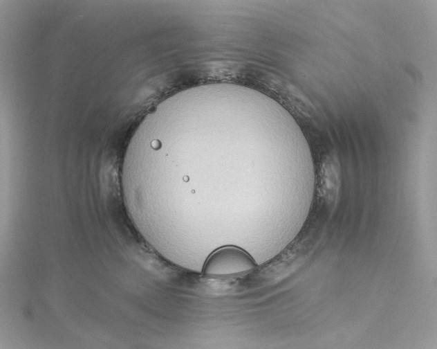 X0000115390522200911171459