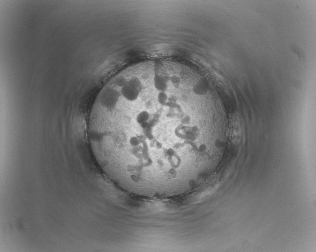 X0000115390523200911171459