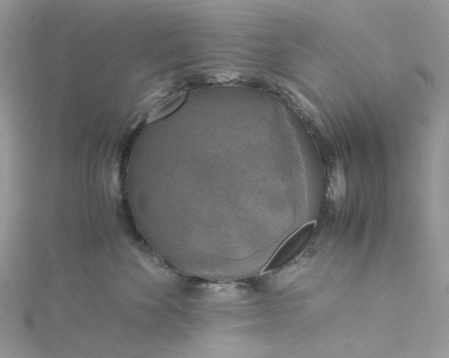 X0000115390524200911171459