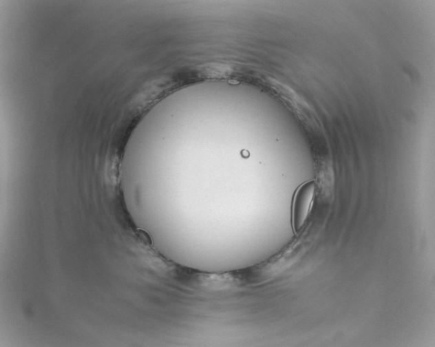 X0000115390525200911171459