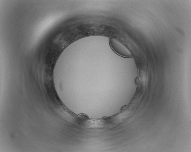 X0000115390526200911171459