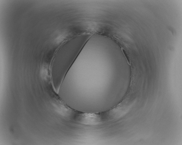 X0000115390528200911171459