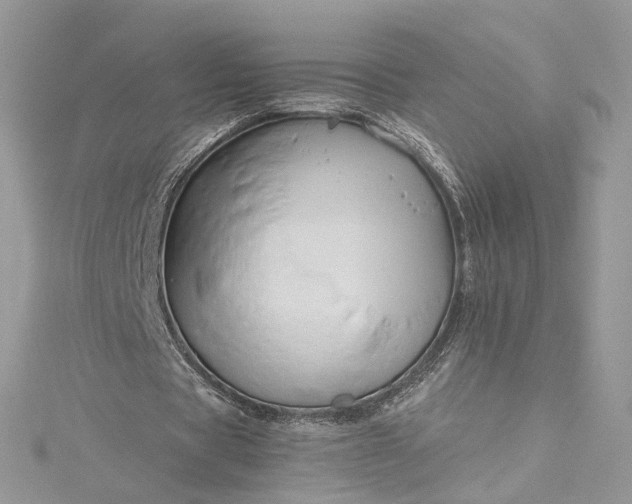 X0000115390529200911171458