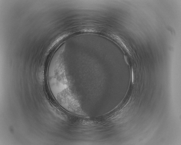 X0000115390531200911171458