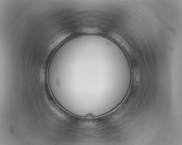 X0000115390533200911171458