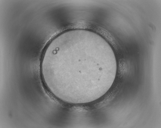 X0000115390534200911171458