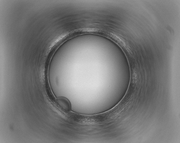 X0000115390535200911171458