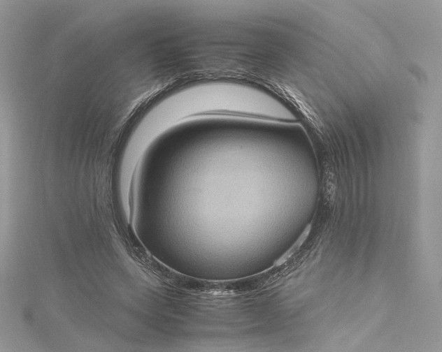 X0000115390543200911171458