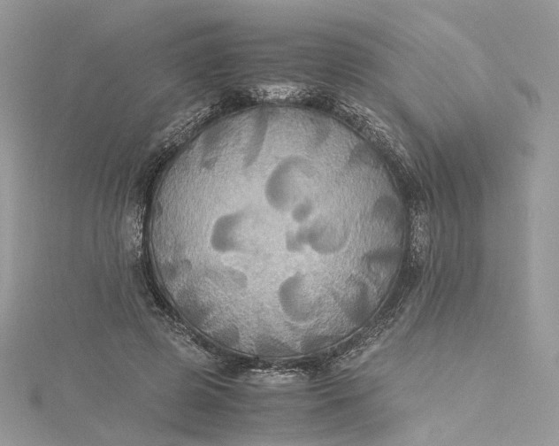 X0000115390545200911171459