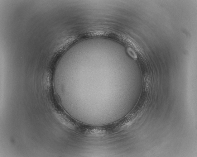 X0000115390546200911171459