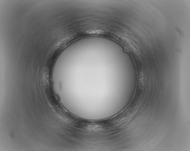 X0000115390547200911171459