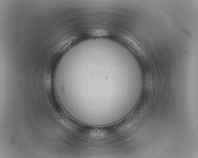 X0000115390549200911171459