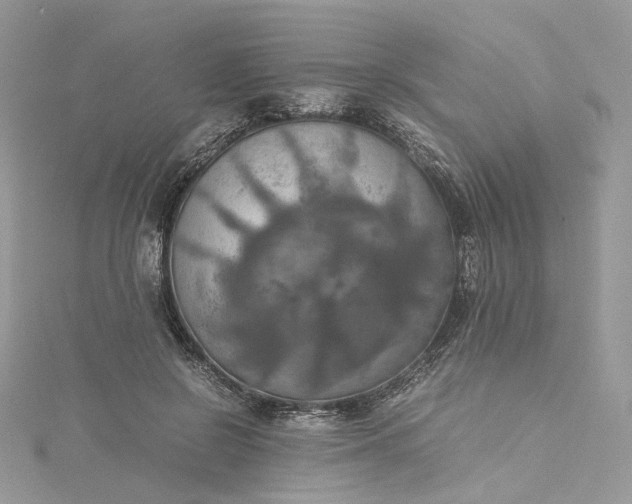 X0000115390550200911171459