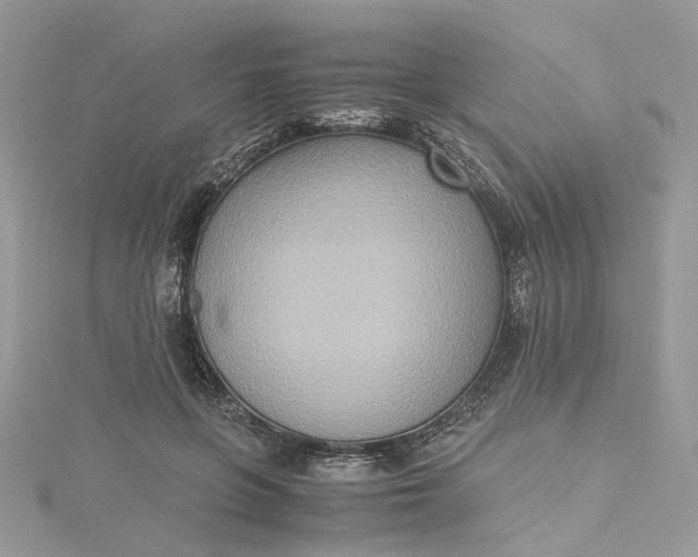 X0000115390551200911171459