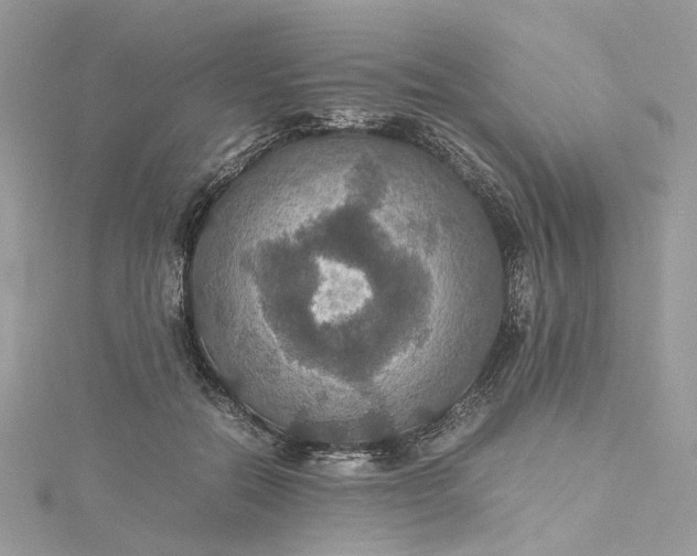 X0000115390554200911171459