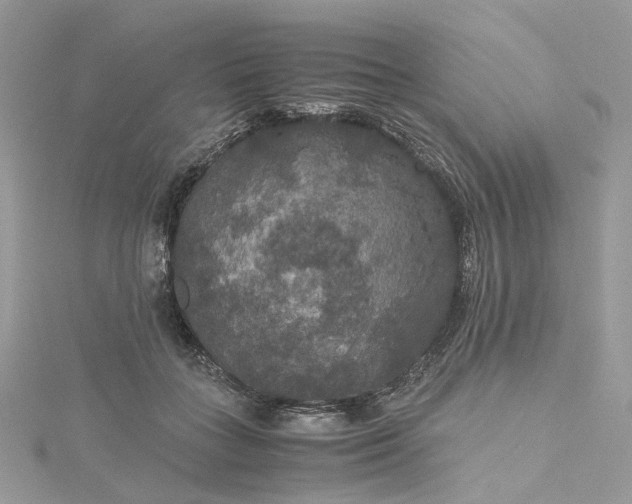 X0000115390555200911171459