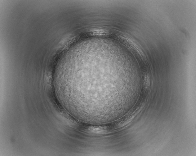 X0000115390557200911171459