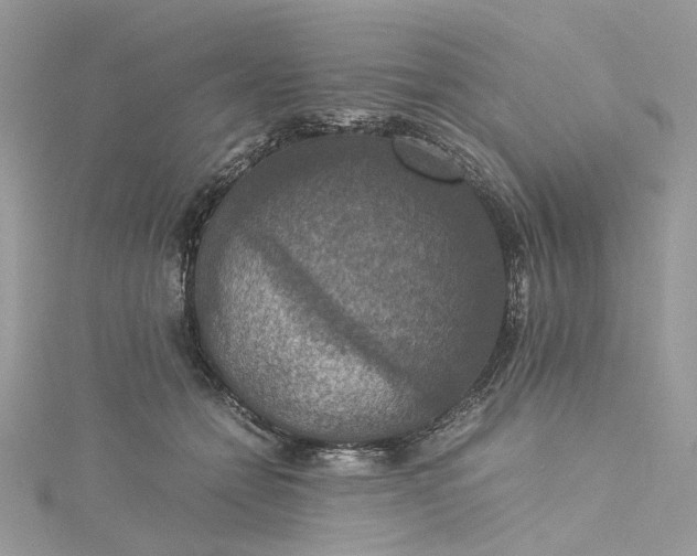 X0000115390558200911171459