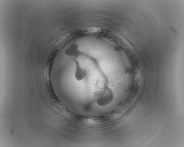 X0000115390565200911171459