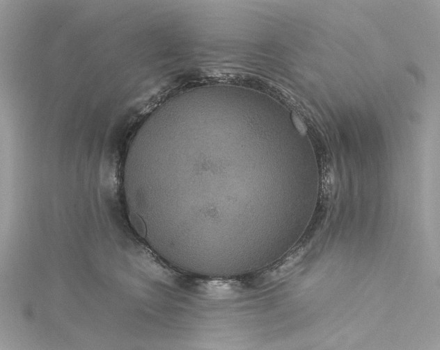 X0000115390566200911171459