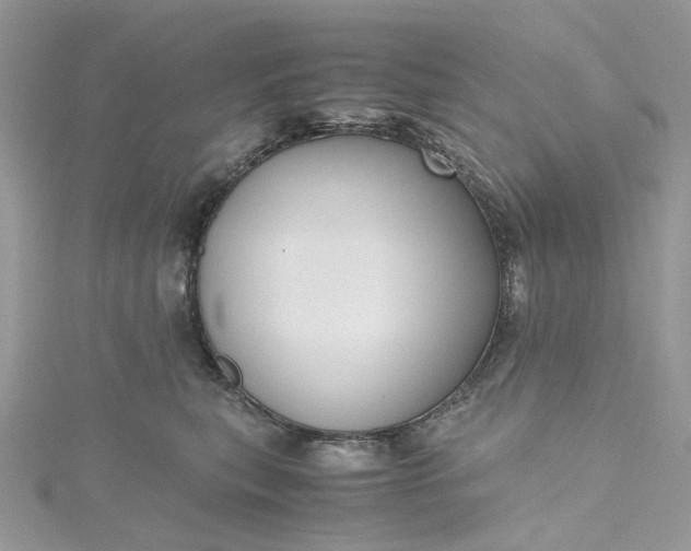 X0000115390567200911171459