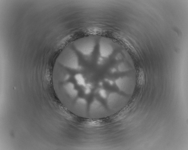 X0000115390569200911171459