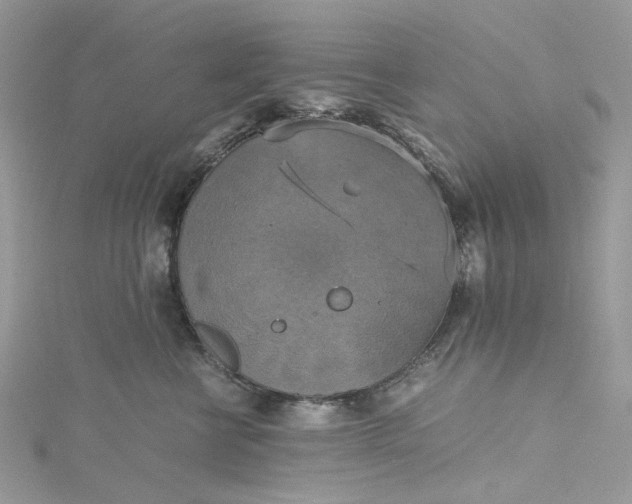 X0000115390570200911171459