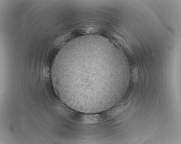 X0000115390571200911171459