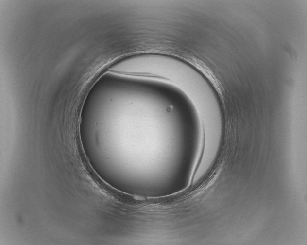 X0000115390577200911171458