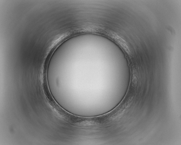 X0000115390578200911171458