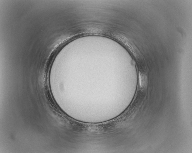 X0000115390579200911171458