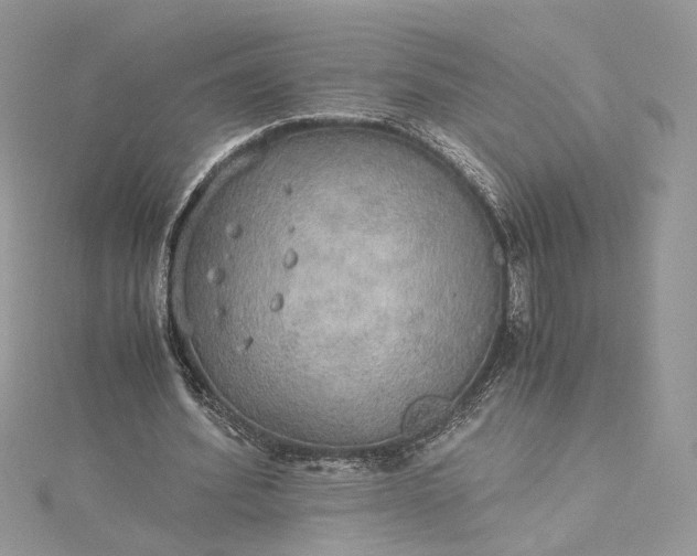 X0000115390580200911171458